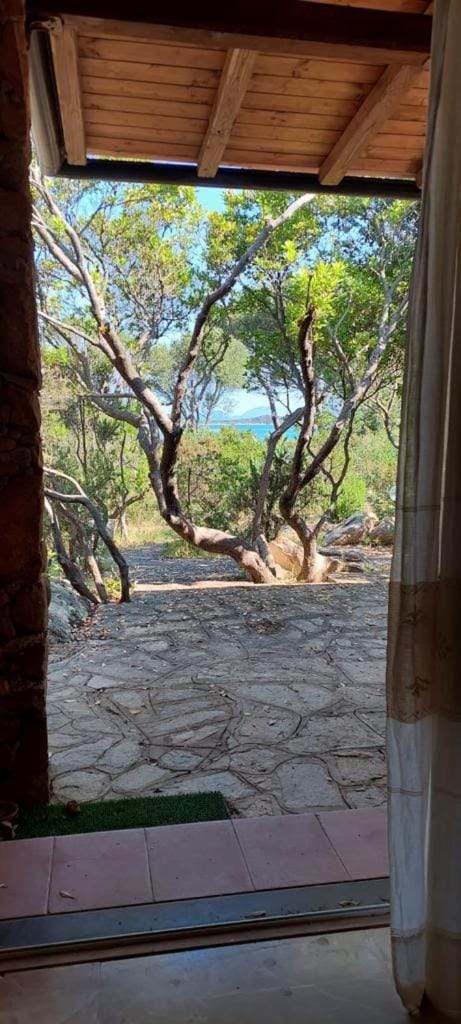 Corbezzolo House in Sardinia