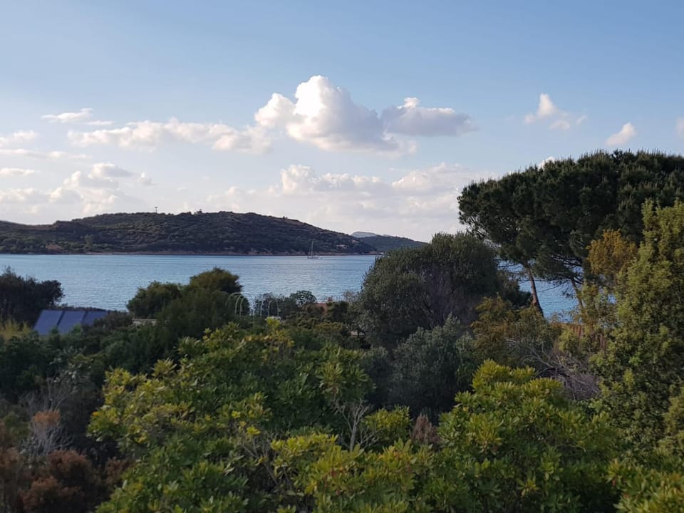 Corbezzolo House in Sardinia