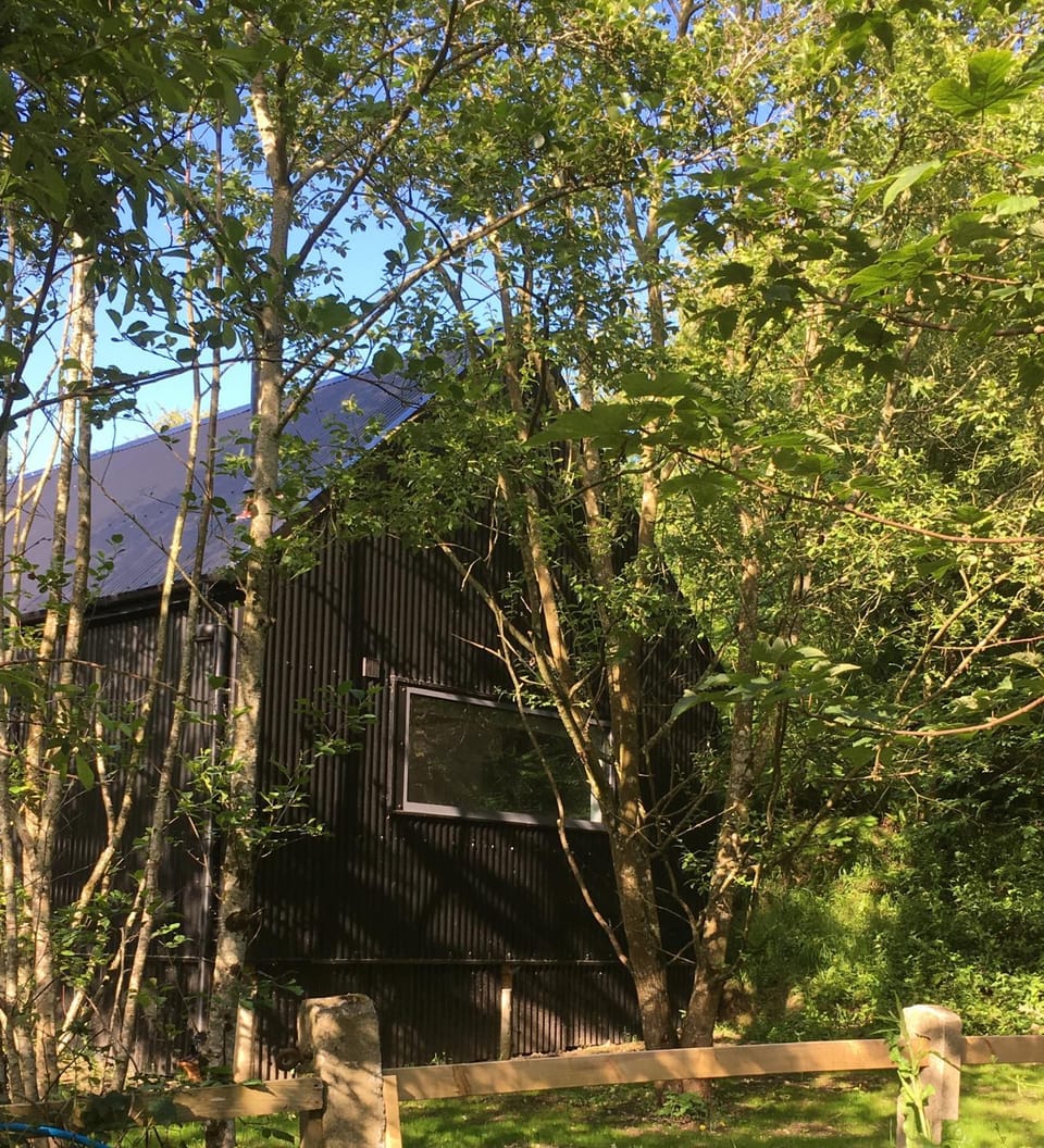 Alder Cabin Cabin in Kilkenny City