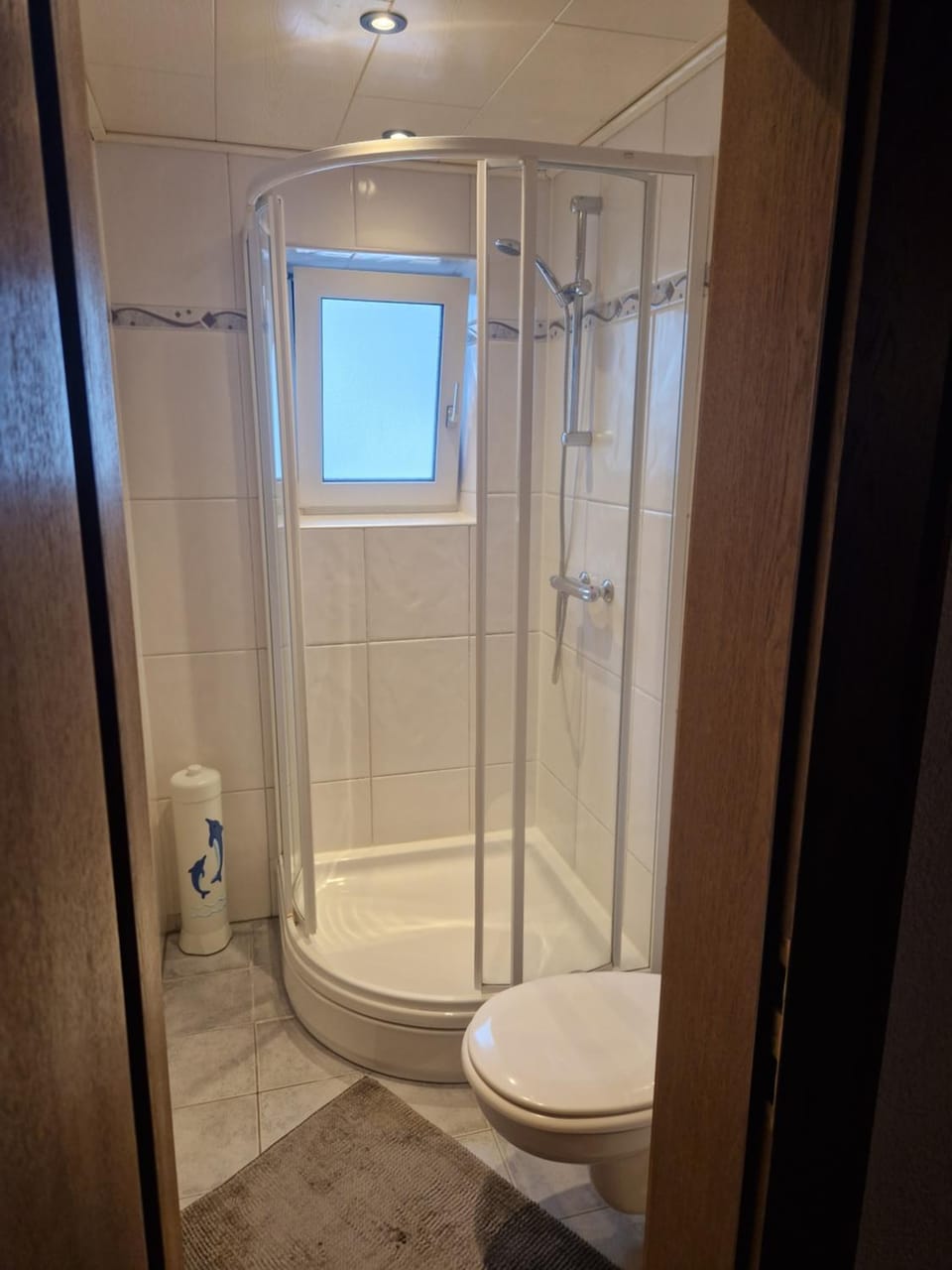 Shower, Toilet