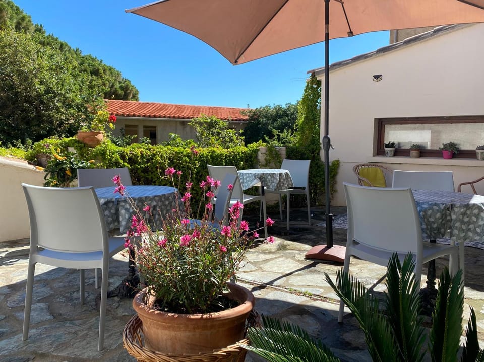 Patio, Garden