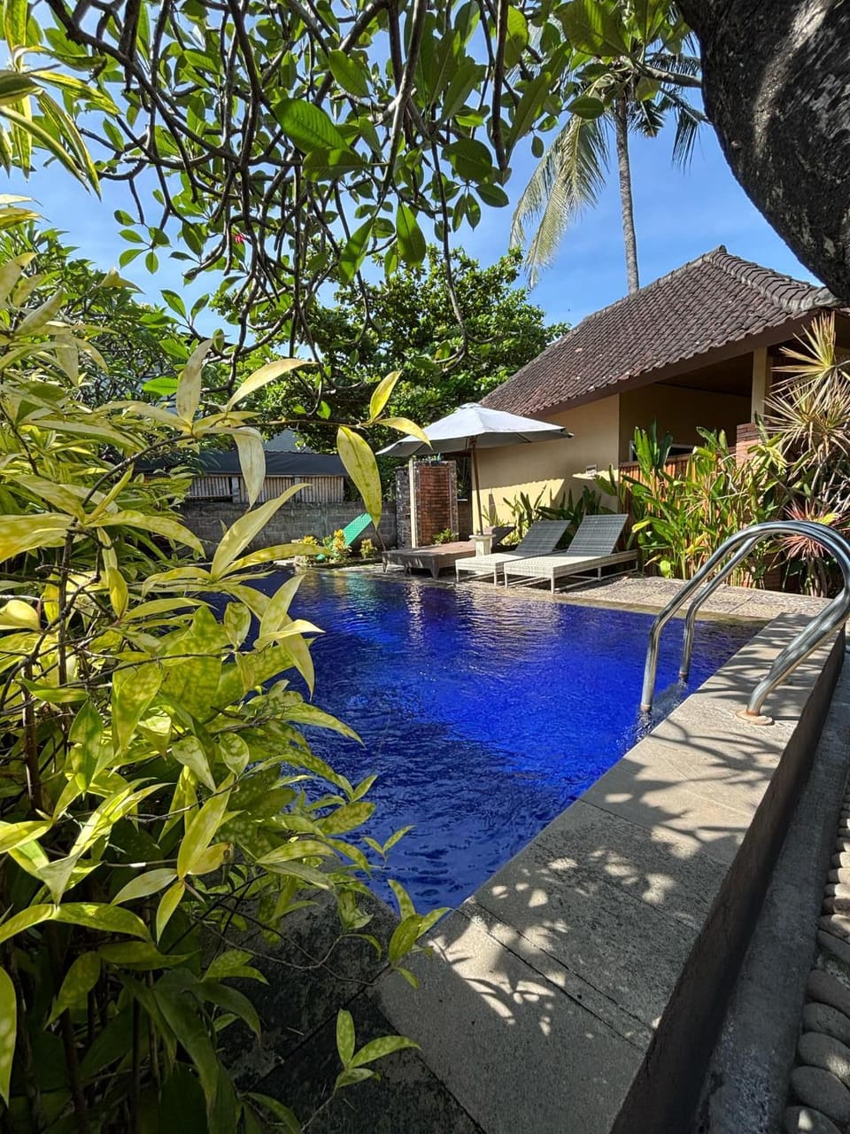 Day, Garden, Pool view, Swimming pool, sunbed