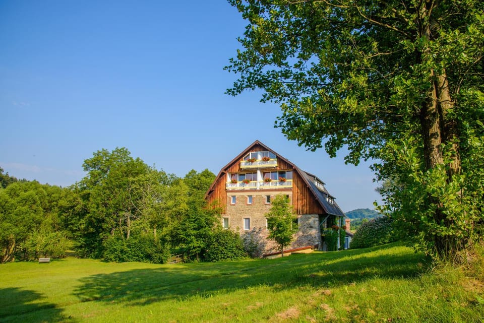 Natural landscape, Summer, Garden, On site