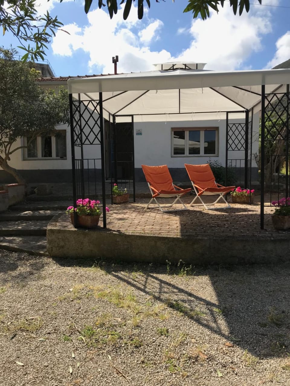 Patio, Facade/entrance, Garden