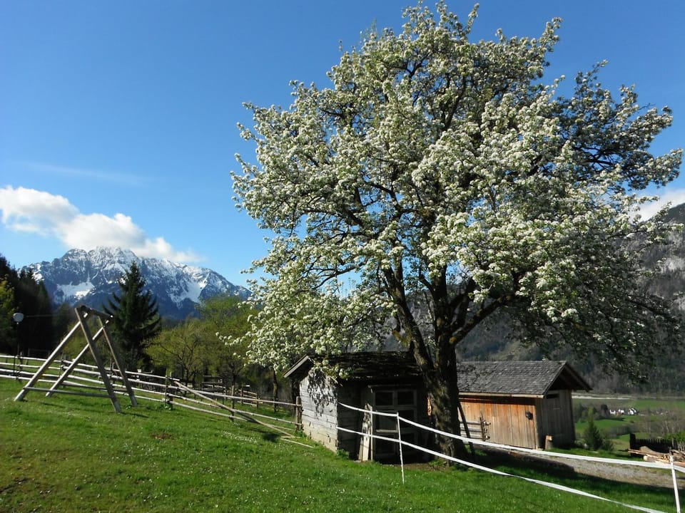 Spring