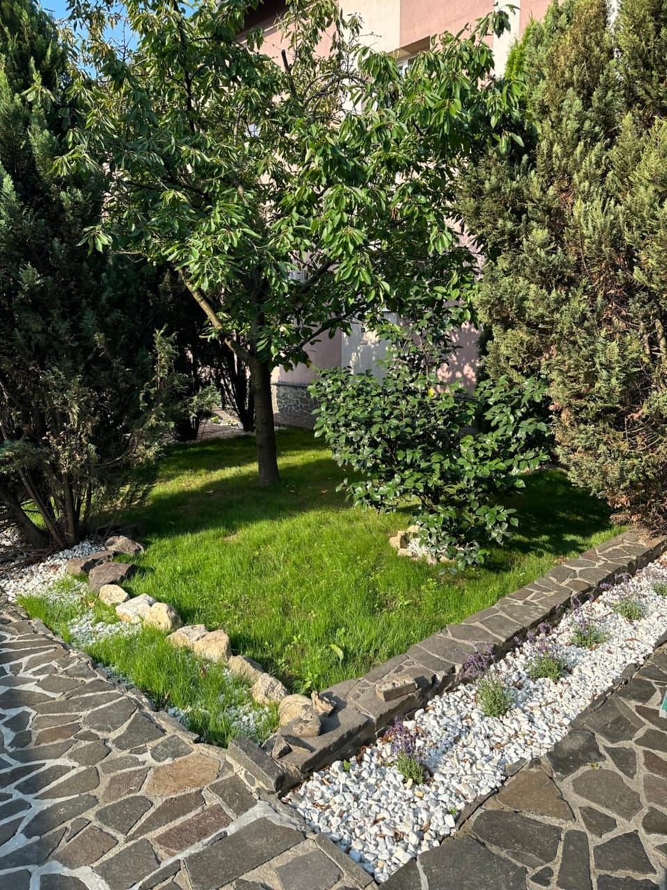 Apartament Sofia Apartment in Romania