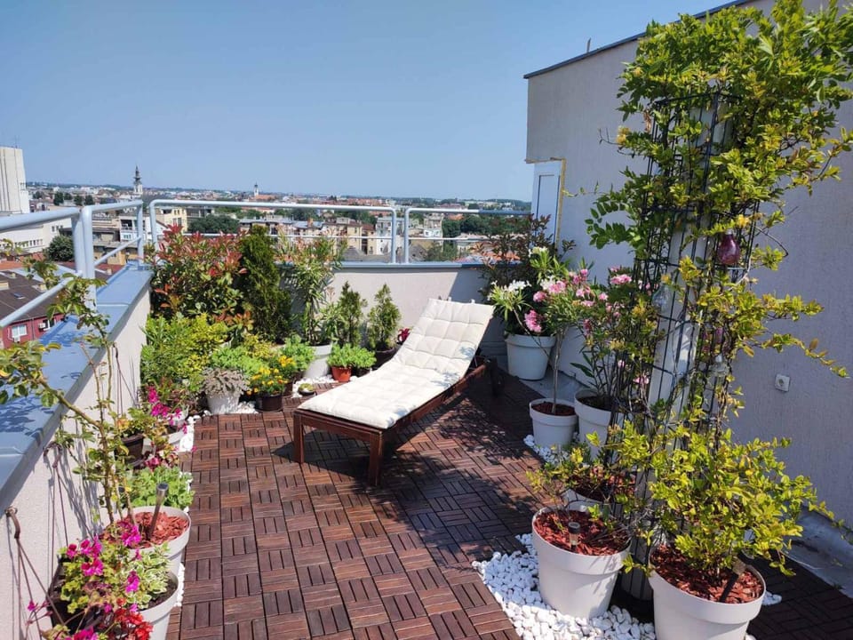 Penthouse apartment Apartment in Novi Sad