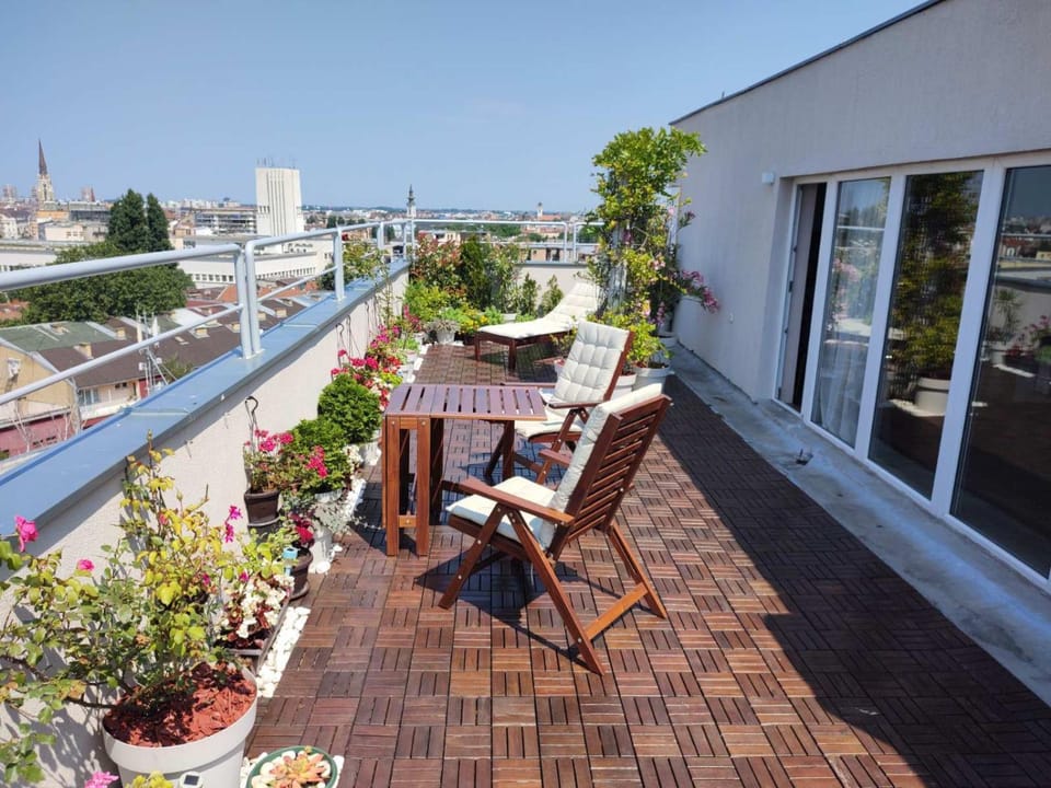 Penthouse apartment Apartment in Novi Sad