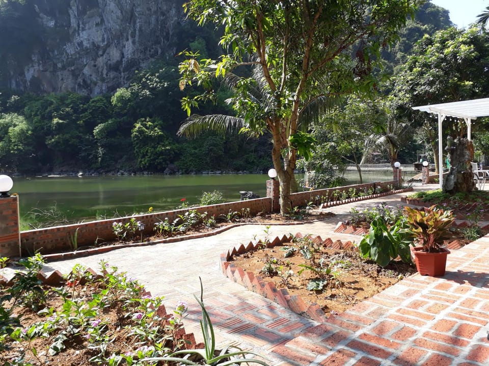 Patio, Garden