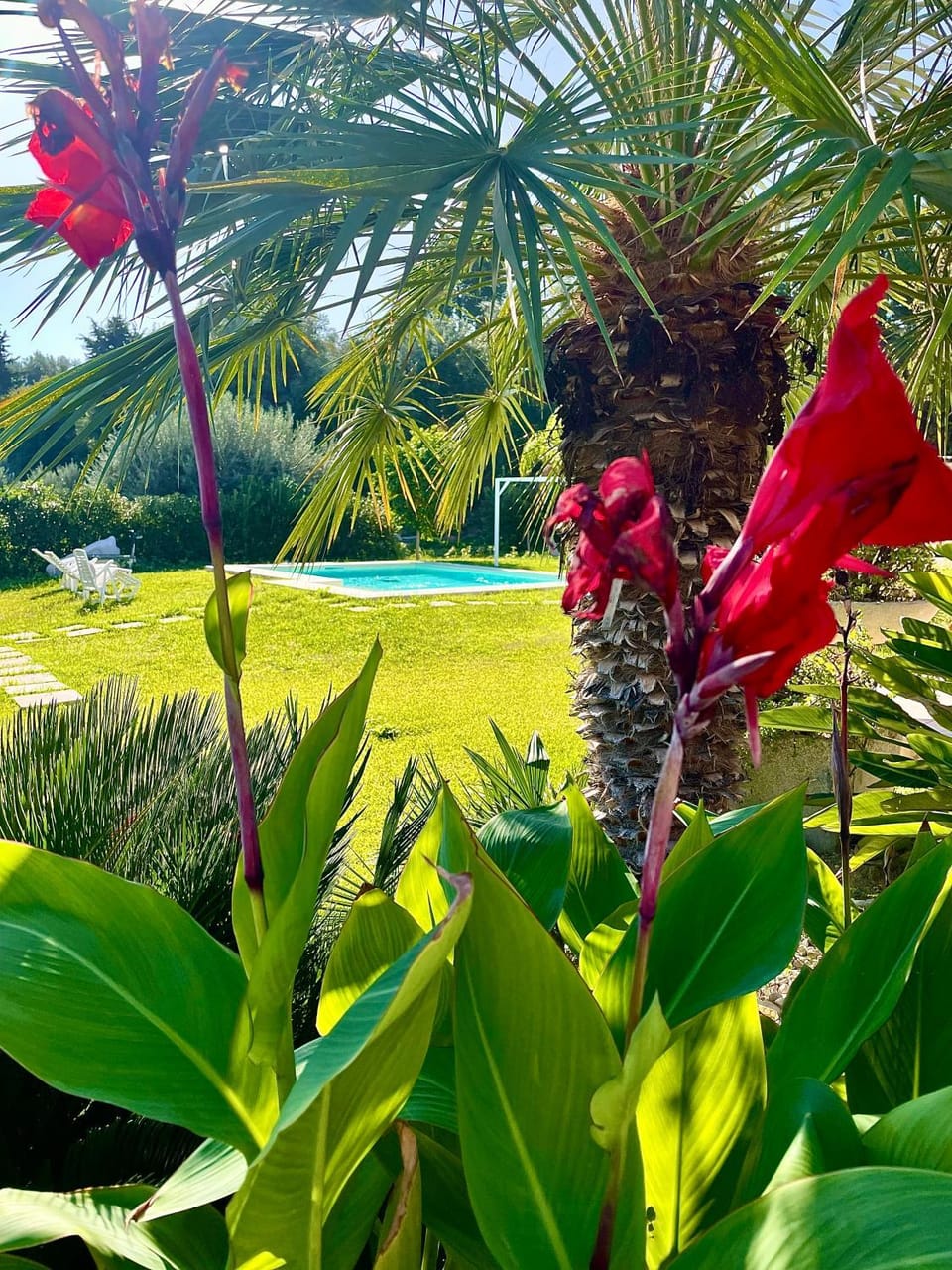 Strelitzia's house with heated pool , private garden and private parking & wi-fi House in Sicily