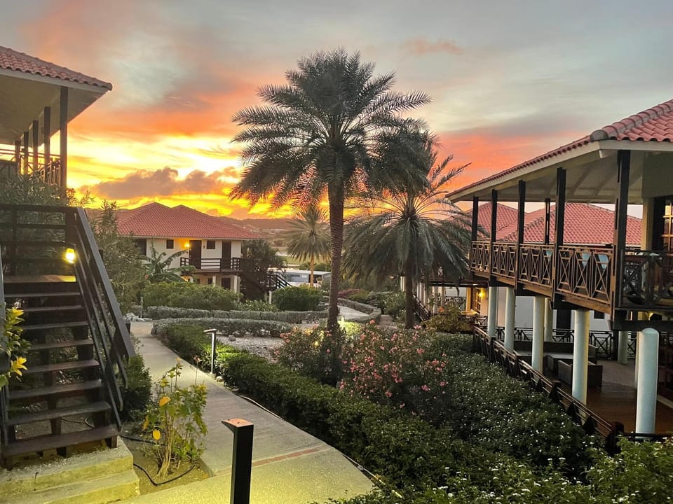 Garden, View (from property/room), Garden view, Sunset