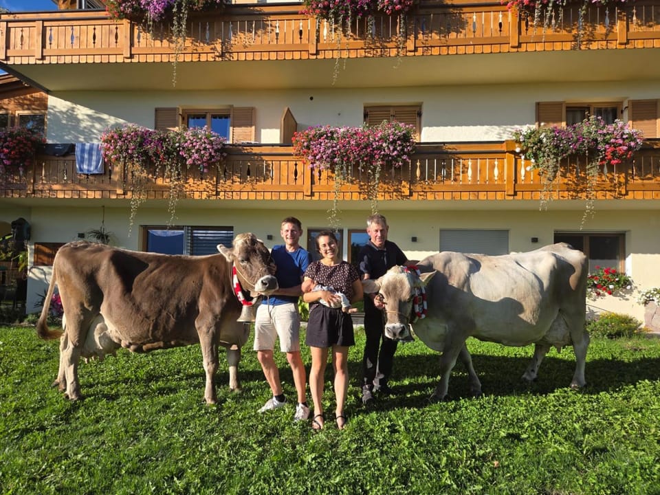 Property building, Staff, Animals