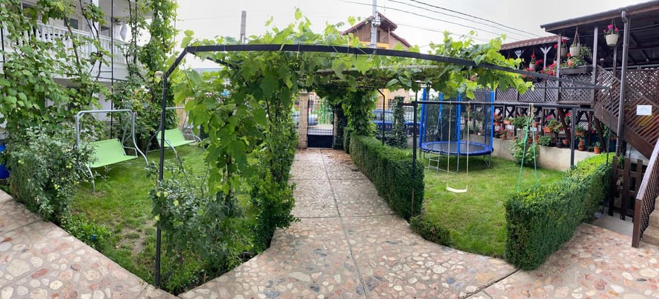 Children play ground, Garden, Garden view