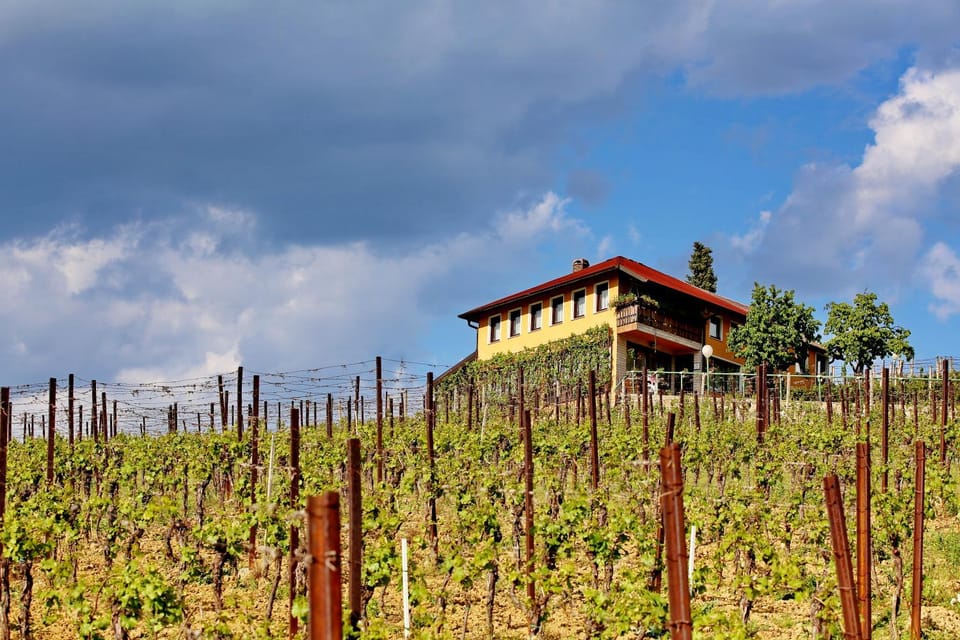 Property building, Neighbourhood, Natural landscape