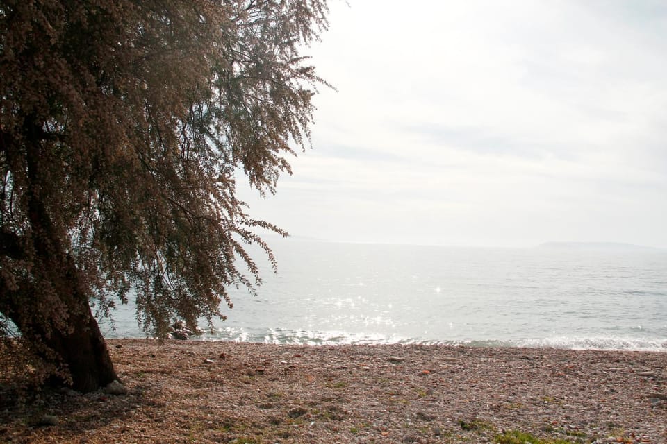 Off site, Day, Beach