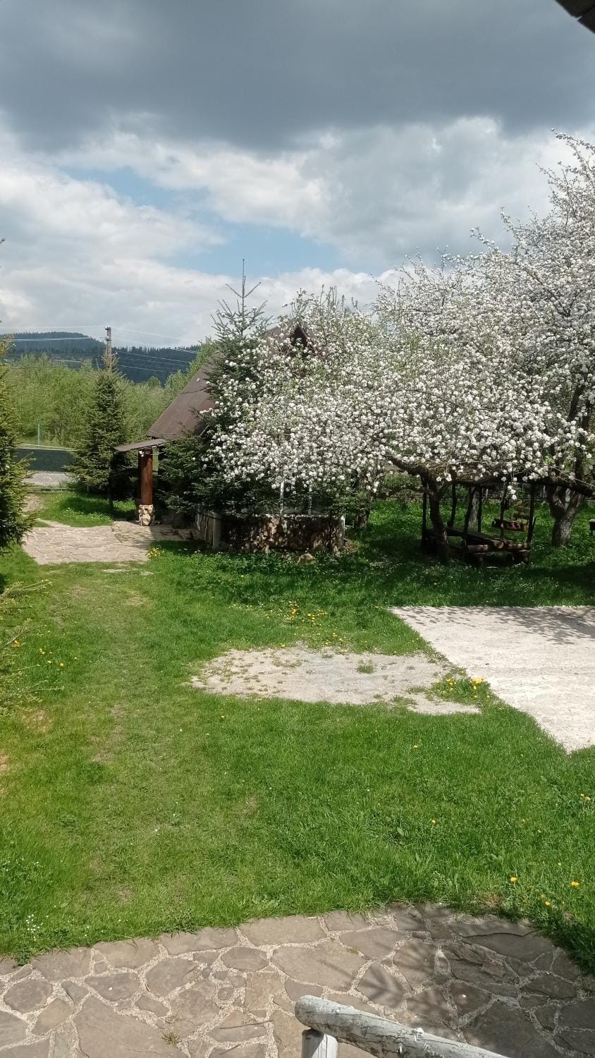 Колорит Bed and Breakfast in Ukraine
