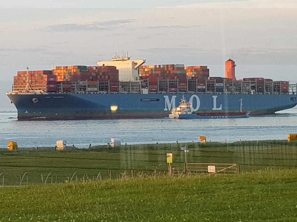 Biolandhof Dorn Highlander vom Elbdeich Apartment in Cuxhaven