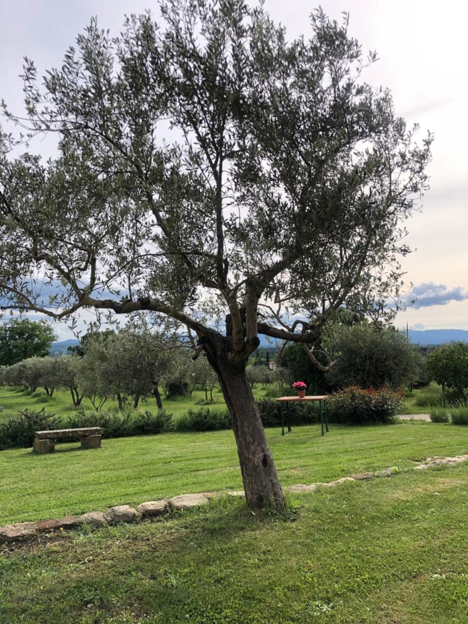 Natural landscape