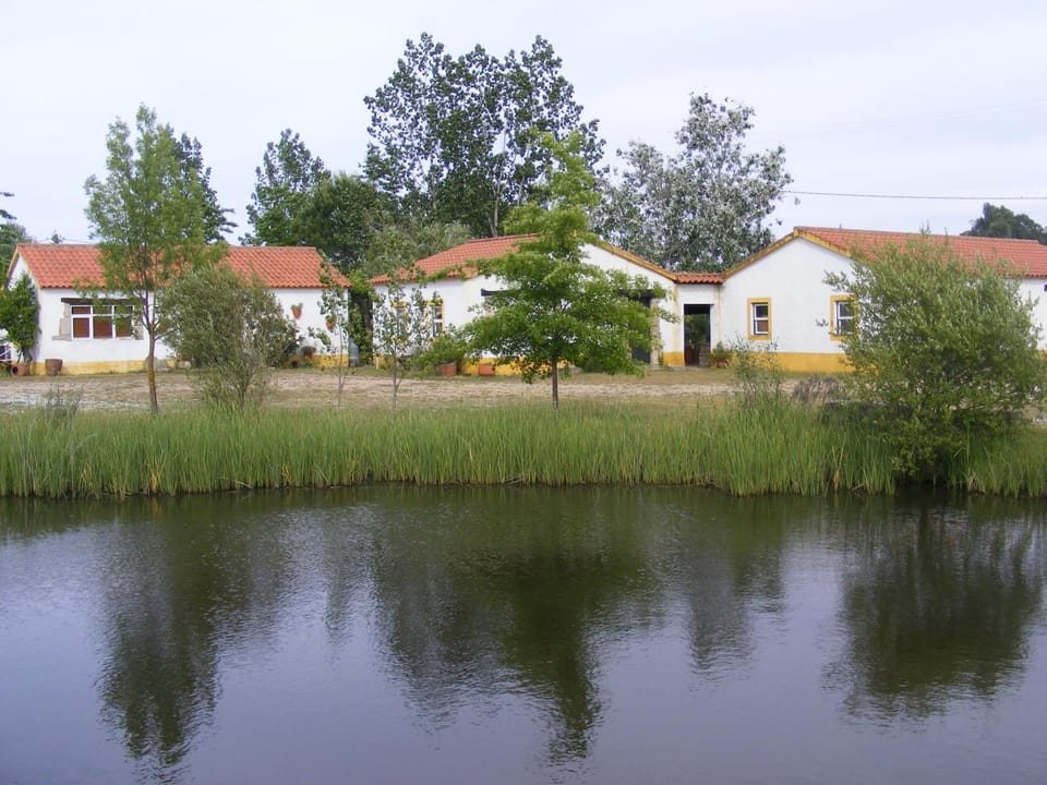 View (from property/room), Lake view
