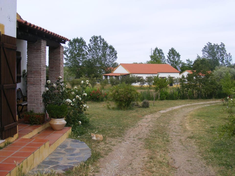 View (from property/room)