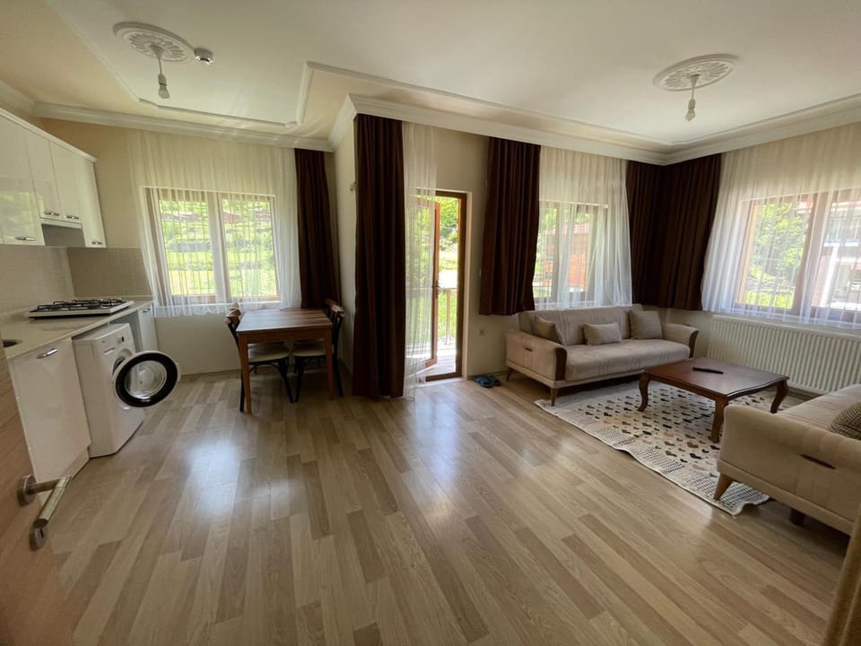 Living room, kitchen