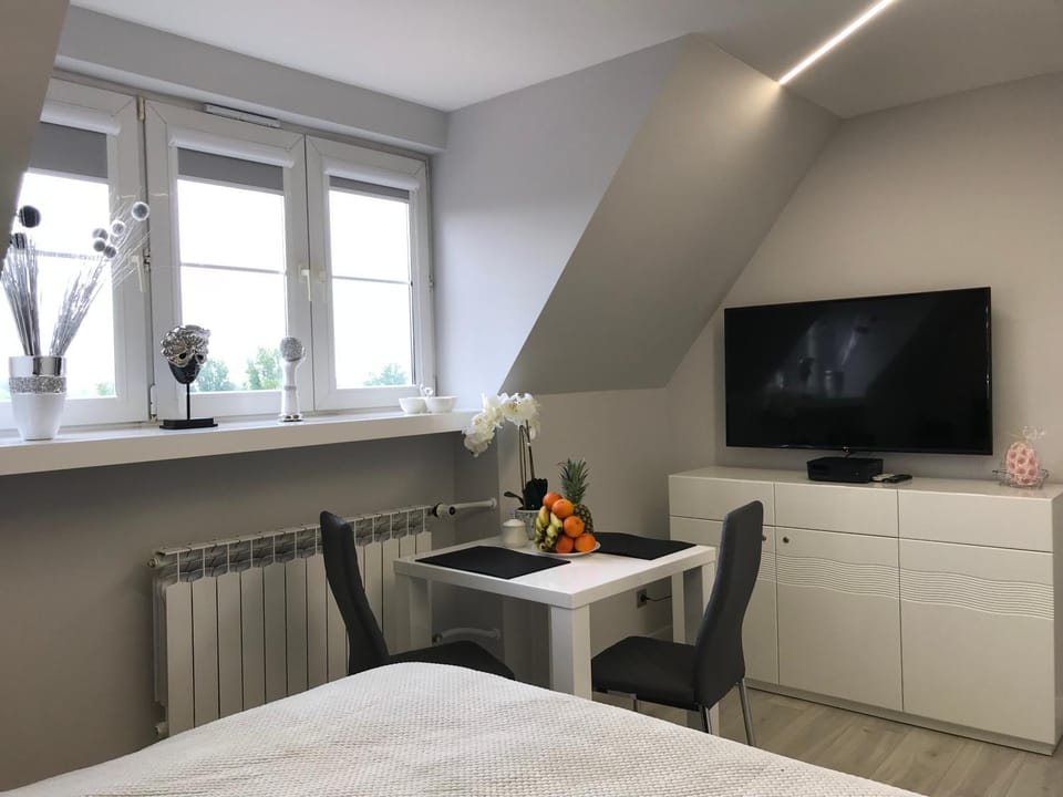 Bed, TV and multimedia, Kitchen or kitchenette, Photo of the whole room, Dining area, Bedroom, hair dresser