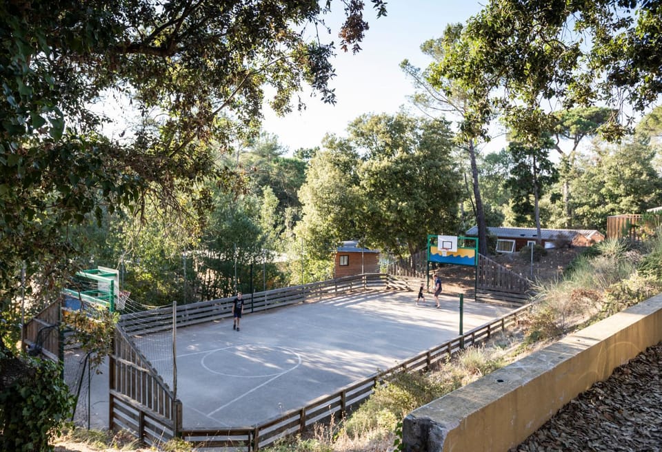 Sports, older children