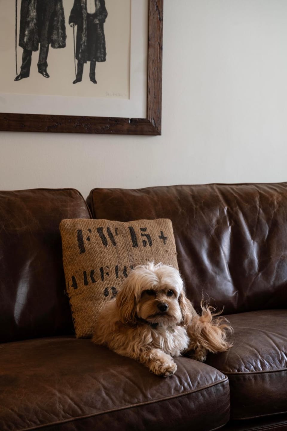 Living room, Seating area, pet friendly