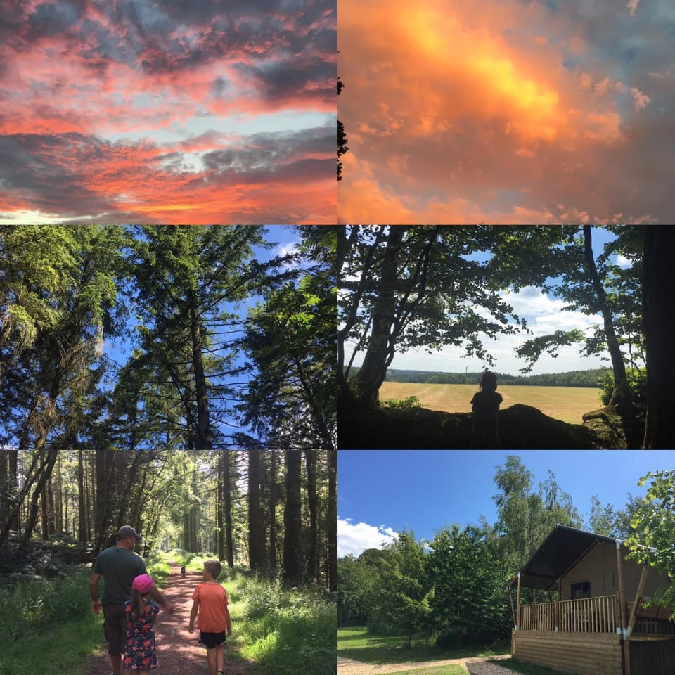 Riverwood Farm Glamping Safari Tent Luxury tent in East Devon District