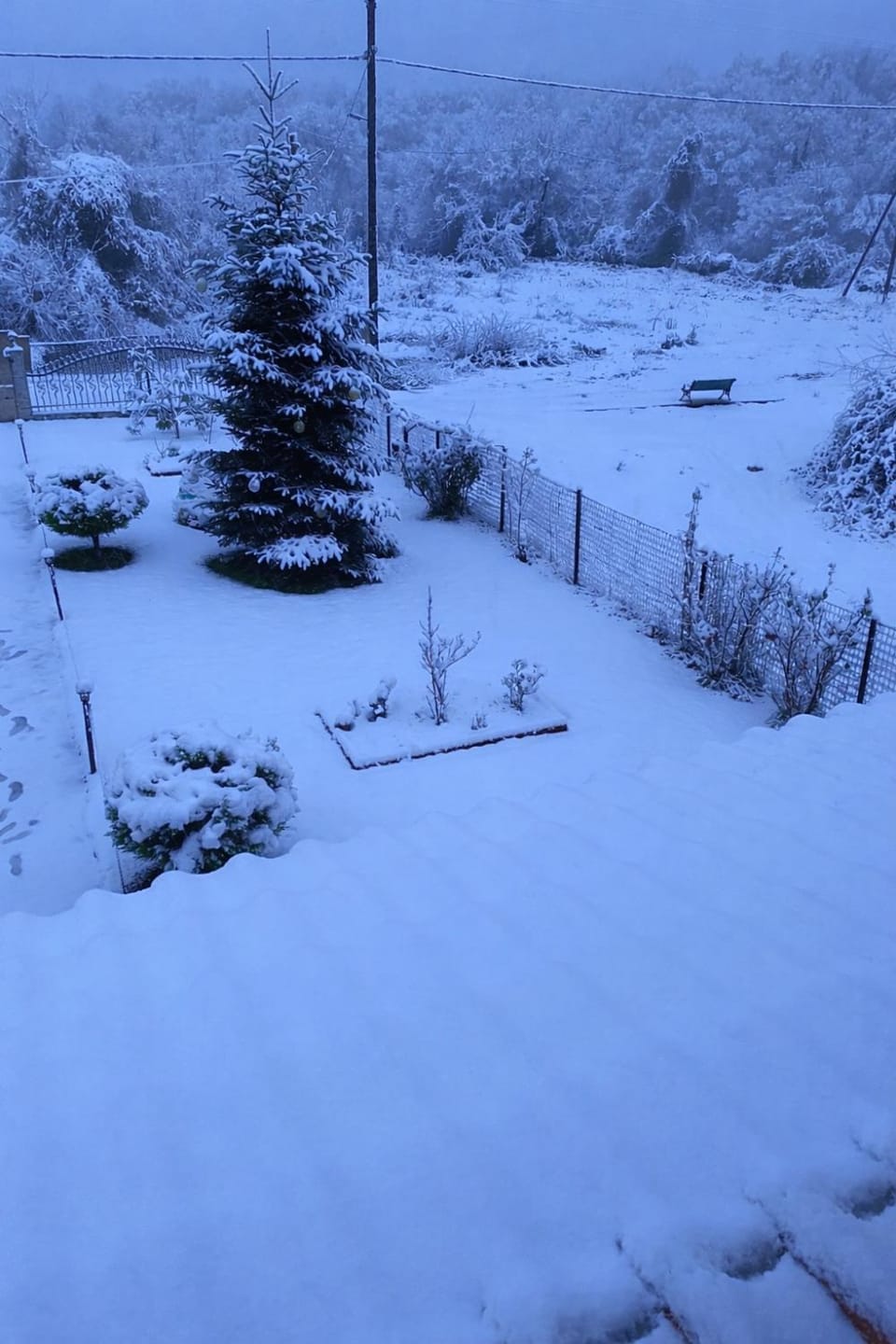 Winter