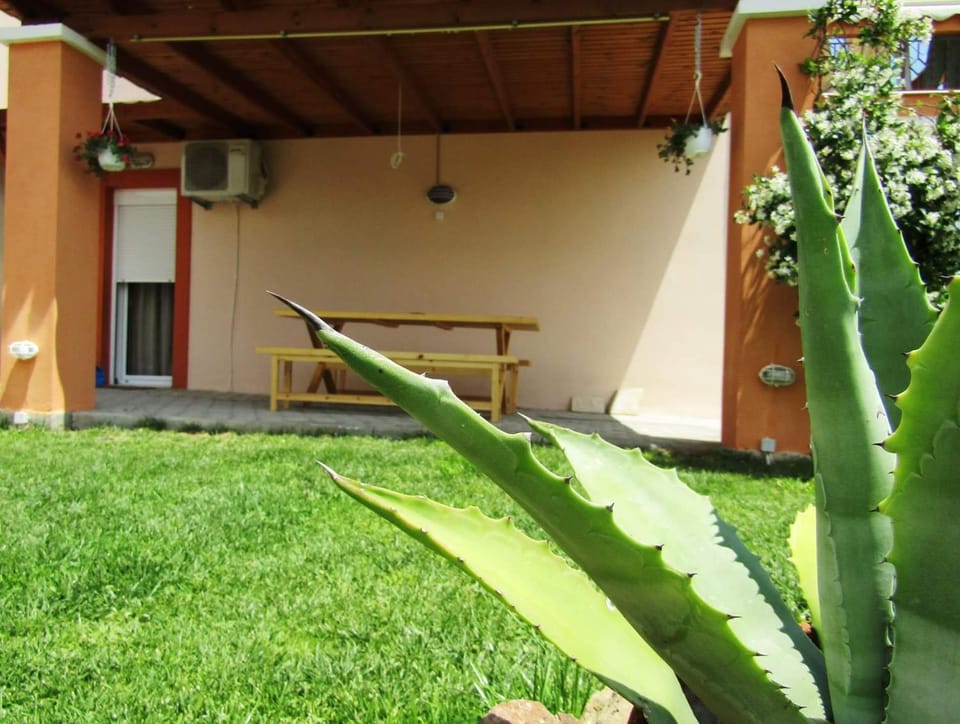Patio, Garden