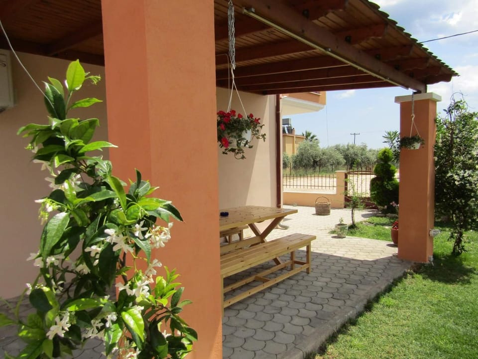Patio, Garden