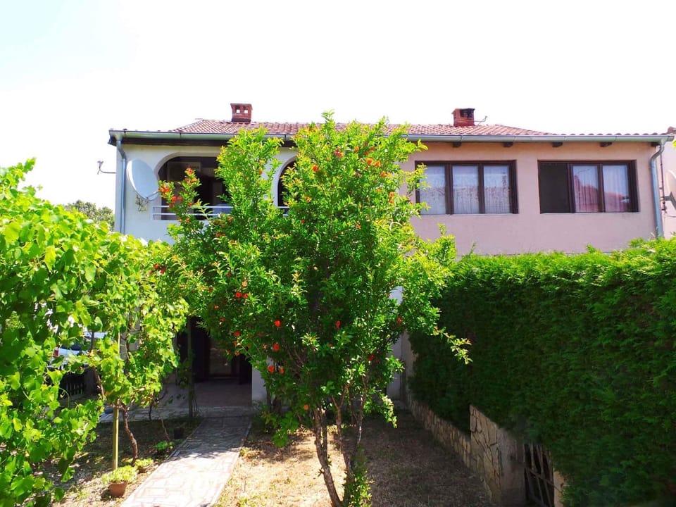 Property building, Summer