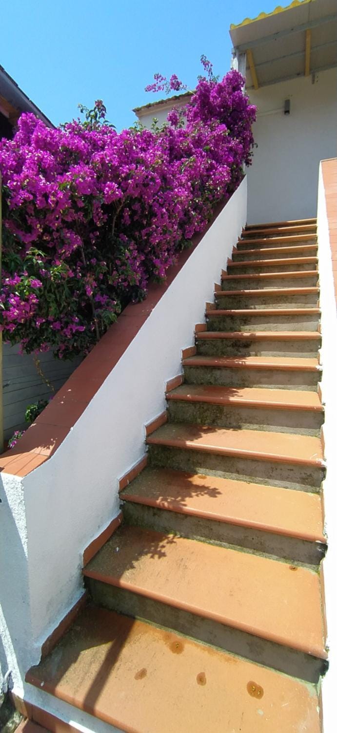 Bilocale La Tezia Apartment in Marciana Marina