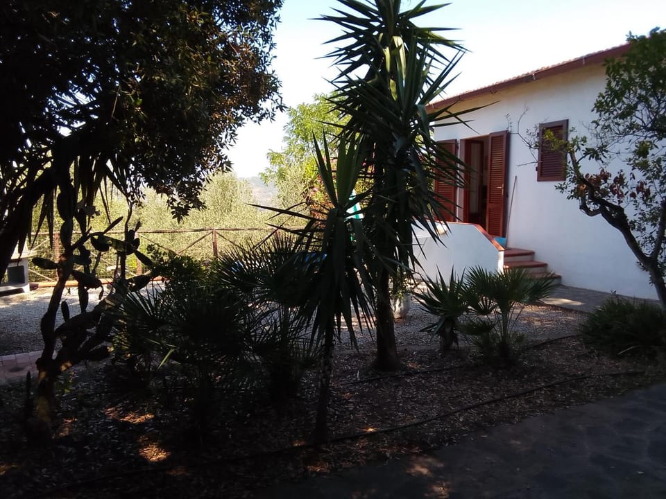 I SALICI Apartment in Capoliveri