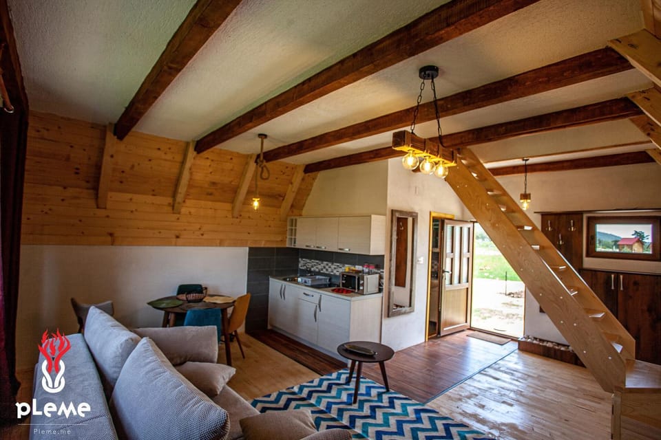 Kitchen or kitchenette, Living room, bunk bed