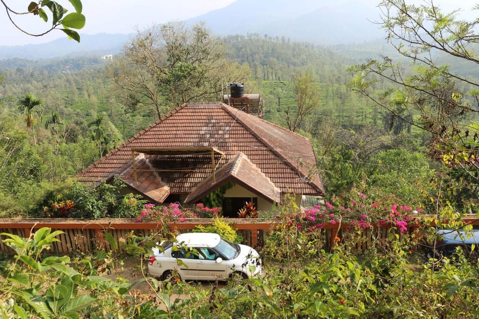 View (from property/room)
