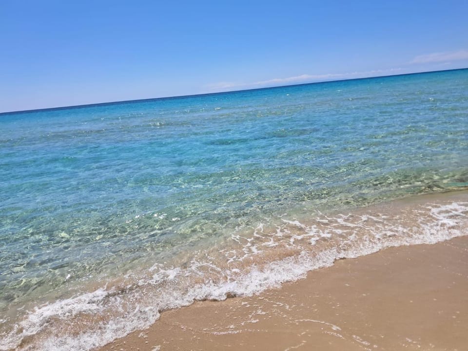 Masseria Macchiarola Farm Stay in Province of Taranto