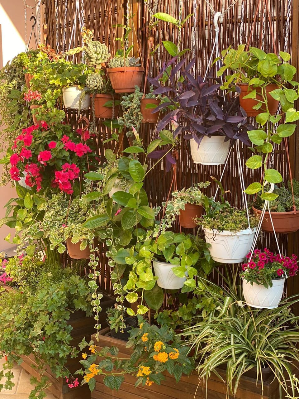 b&b Rita, nel cuore del Salento Bed and Breakfast in Apulia