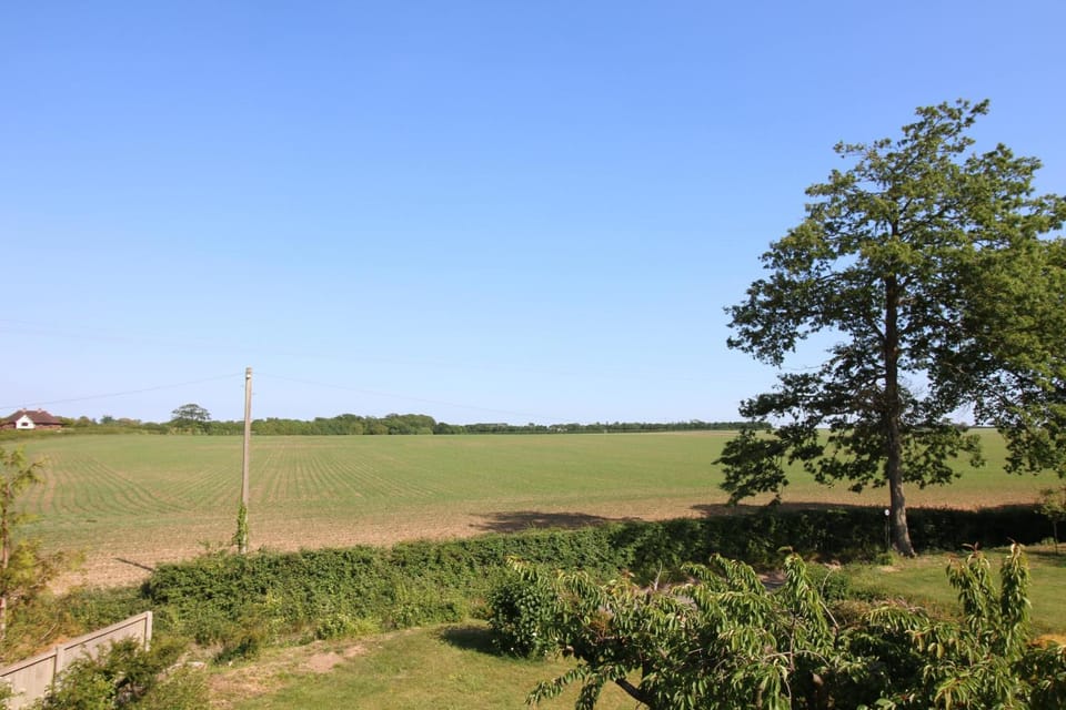 Natural landscape