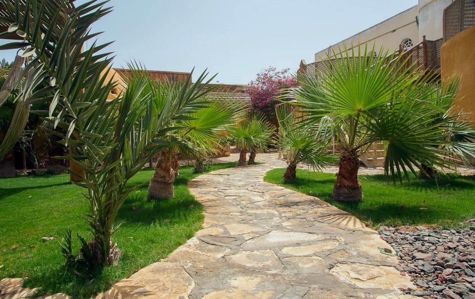Garden, Garden