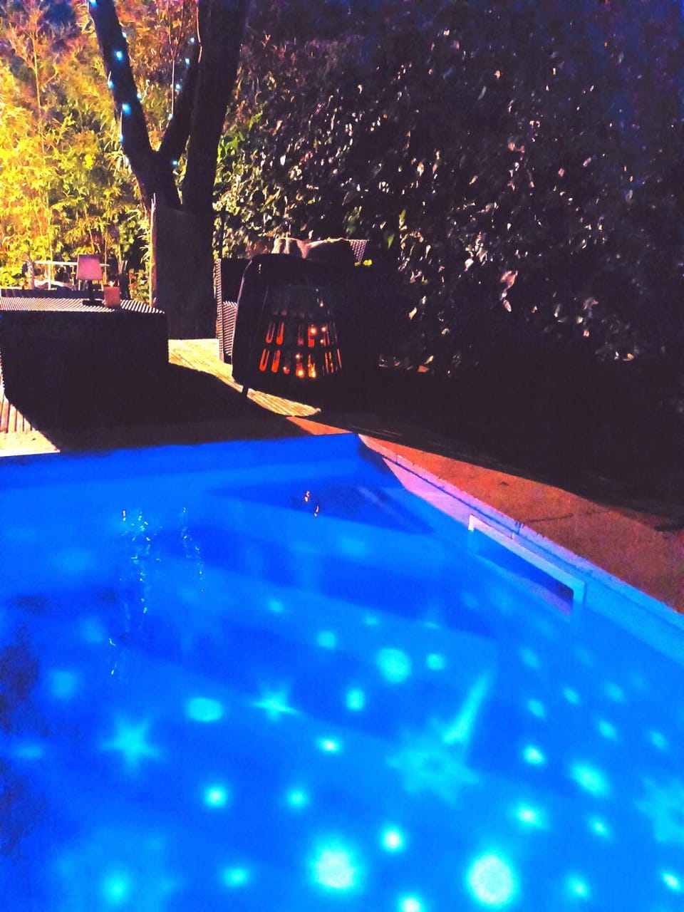 Les lauriers roses & sa piscine privative Apartment in Narbonne