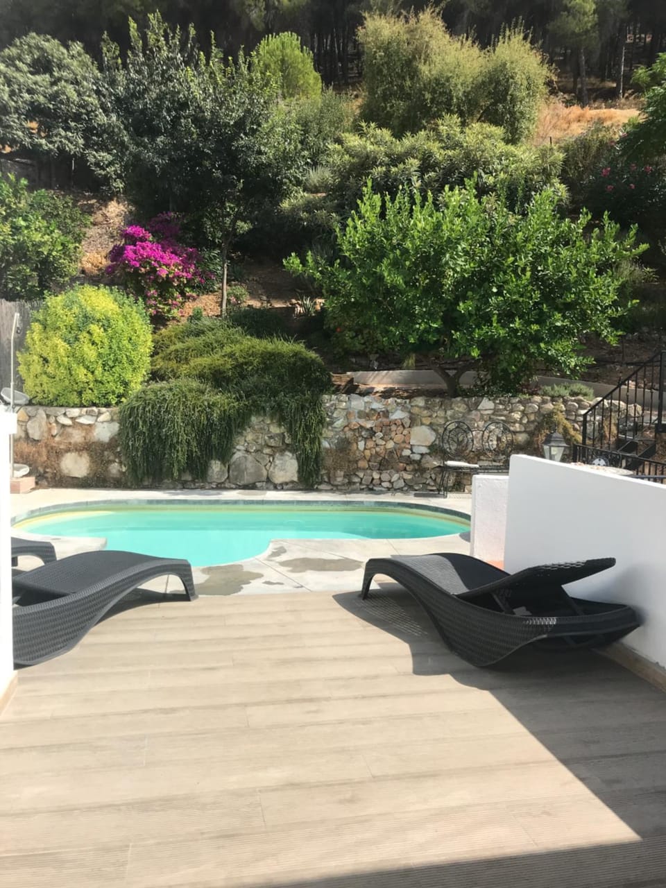 Garden view, Pool view, sunbed