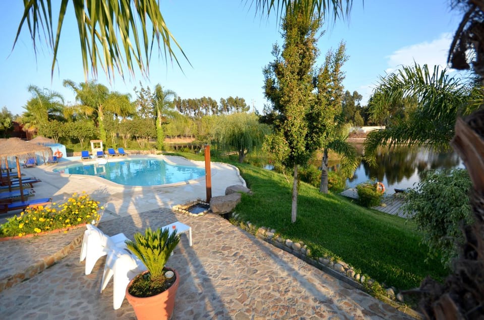 View (from property/room), Balcony/Terrace, Swimming pool, Swimming pool