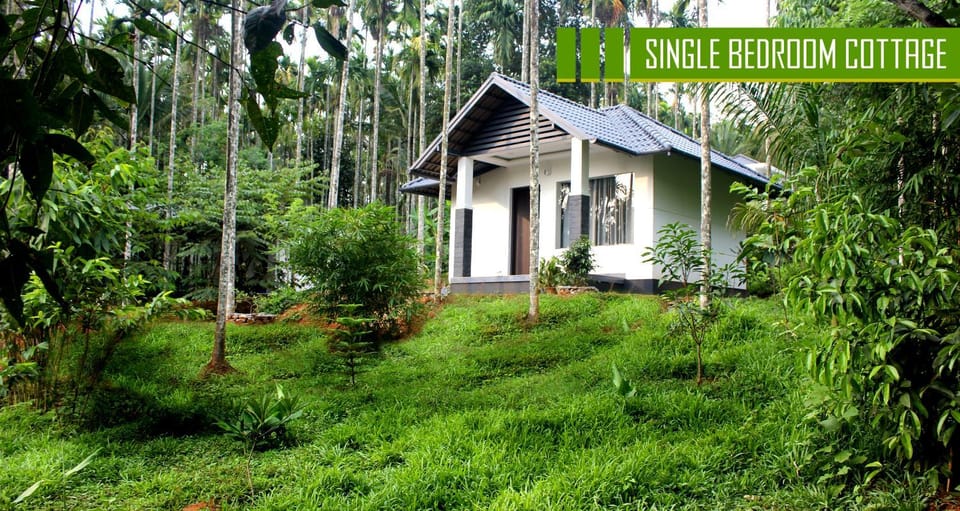 Vintage Garden Resort Villa in Kerala