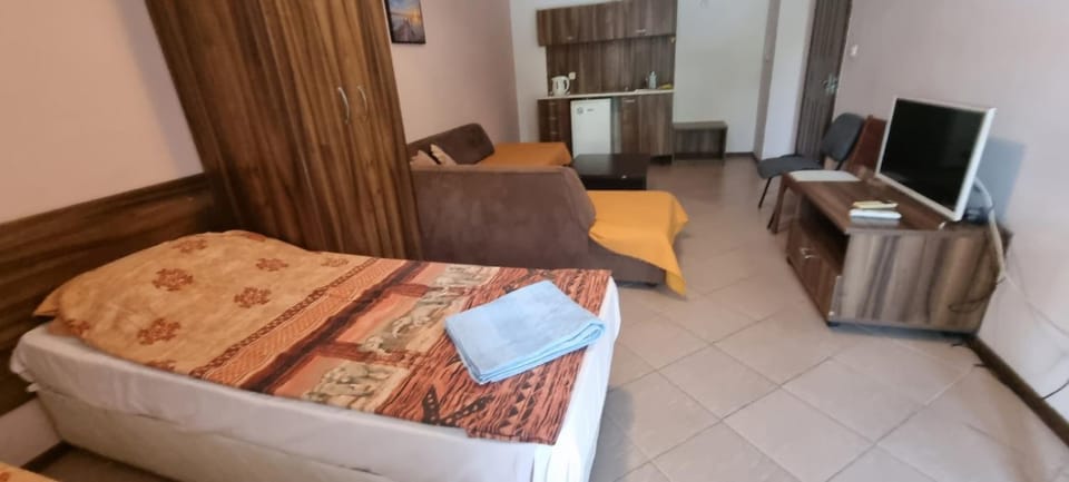 Communal lounge/ TV room, Bed, TV and multimedia