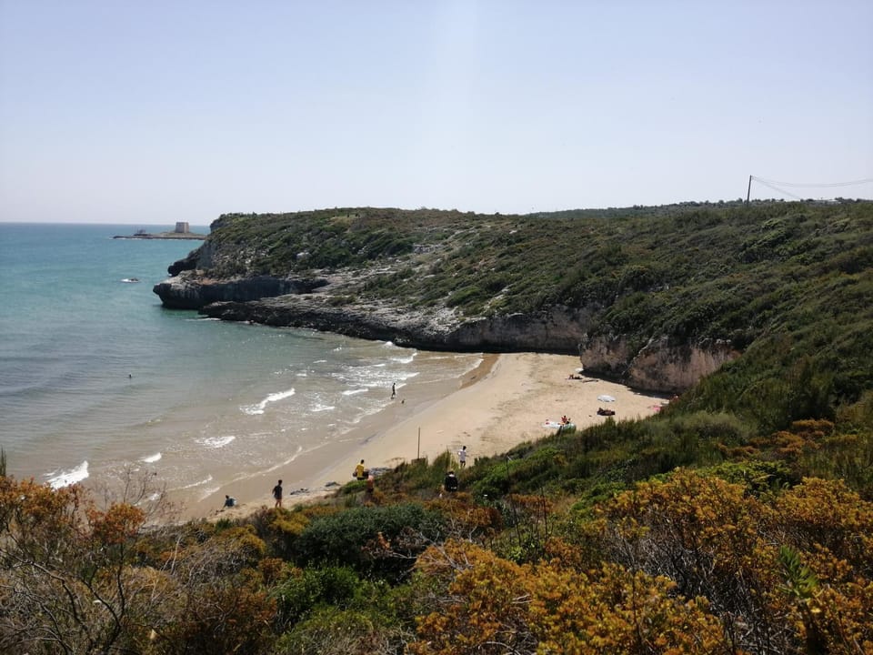 Natural landscape, Beach, Hiking