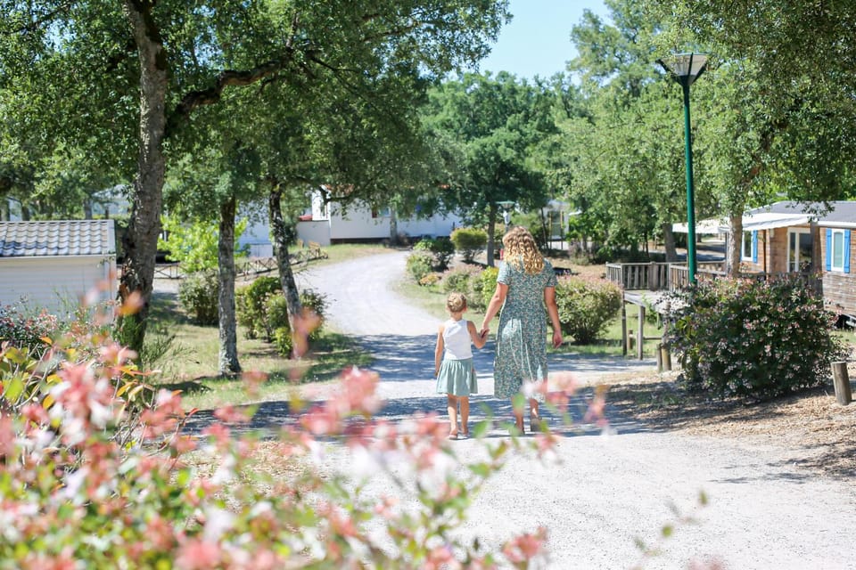 Natural landscape, Garden, Guests