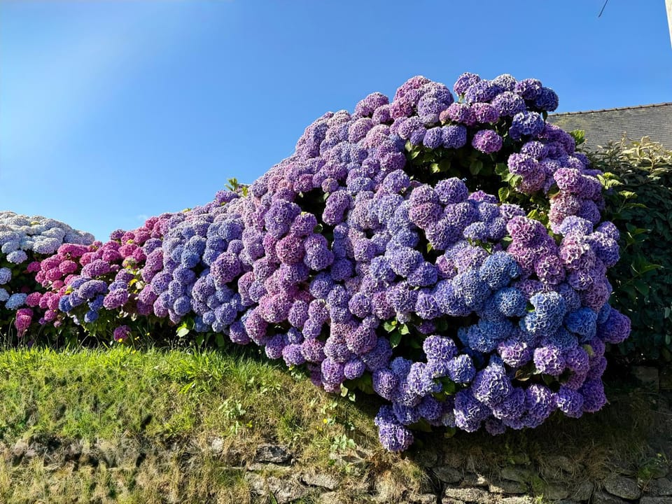 Spring, Natural landscape