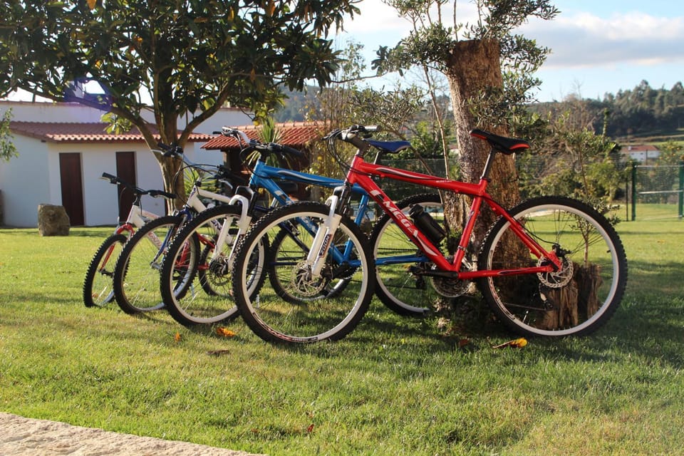 Cycling